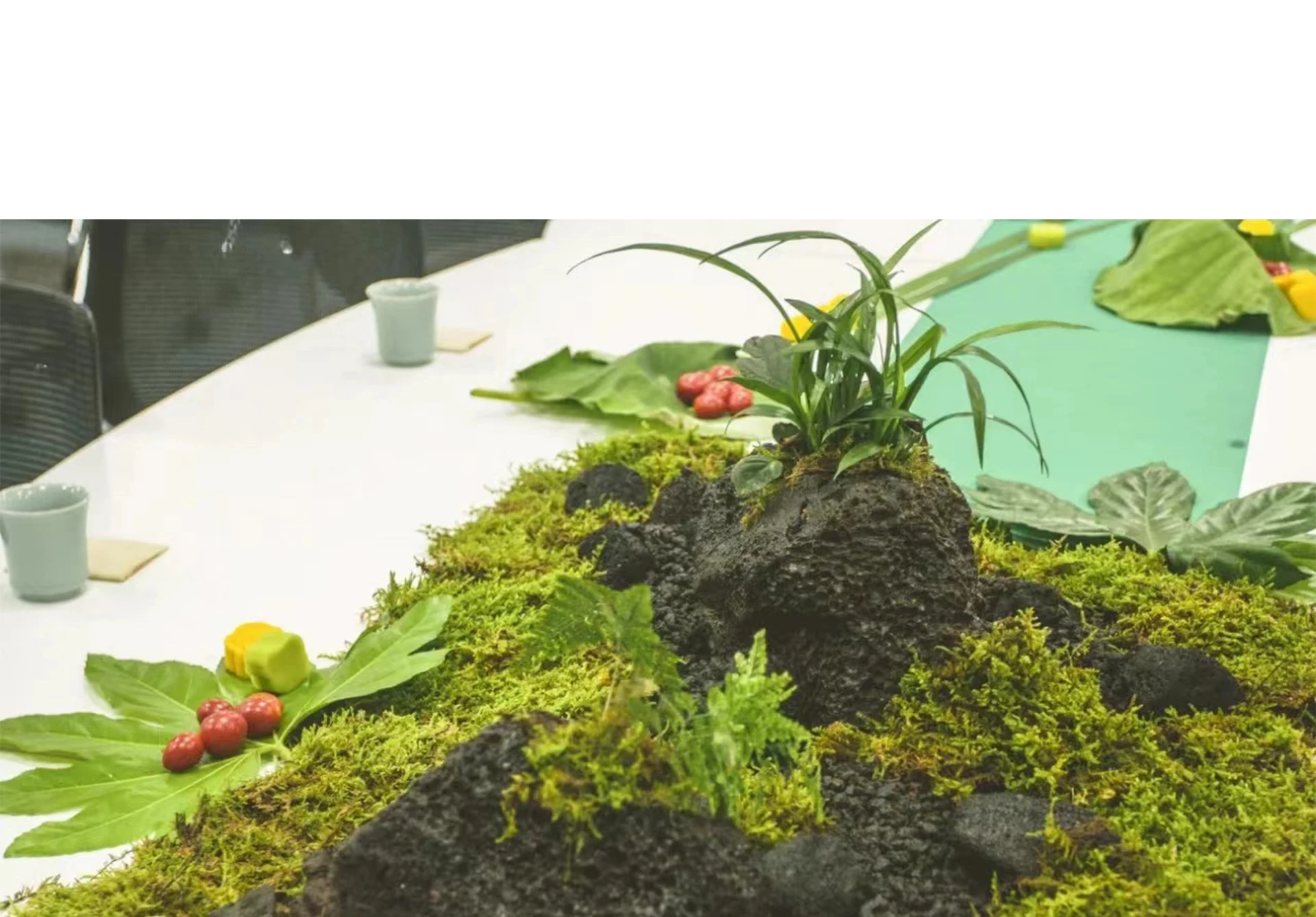 화분에 심은 식물용 인공 이끼, 홈 데코, 요정 정원  - Terrarium Moss Art 리뷰 및 가격