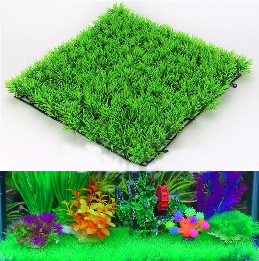 인공 녹색 잔디 식물 잔디 잔디 수생 수족관 물고기 탱 - Terrarium Moss Art 리뷰 및 가격