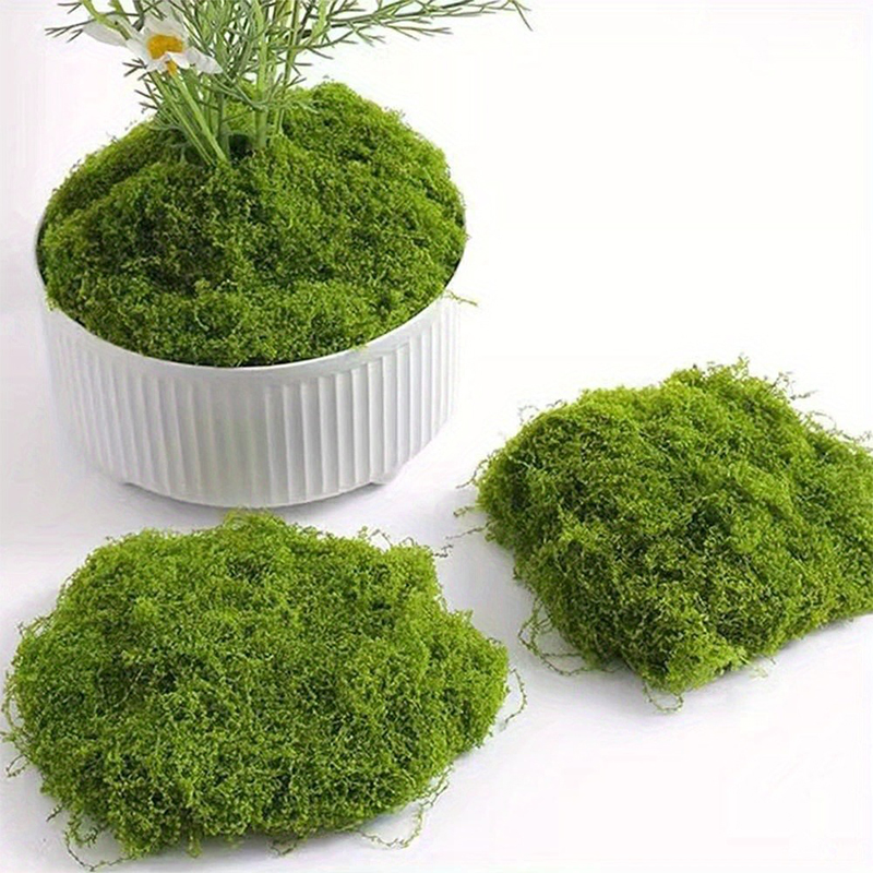 가짜 녹색 이끼 DIY 공예 인공 잔디, 인조 보존 이 - Terrarium Moss Art 리뷰 및 가격